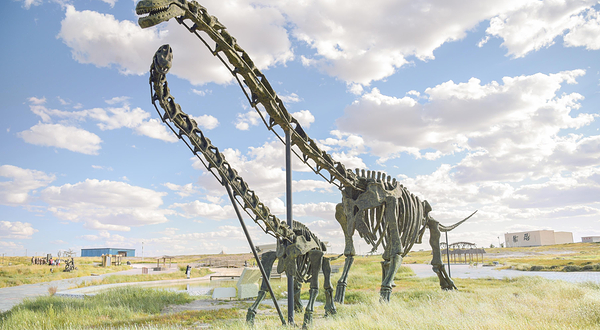 二连浩特国家地质公园