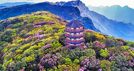 金佛山第 52 张图片
