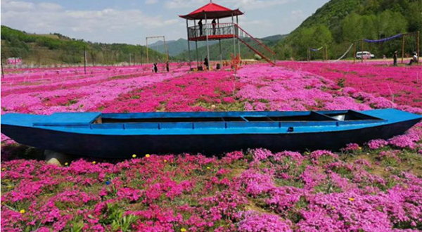 宽甸花韵谷生态园酒店
