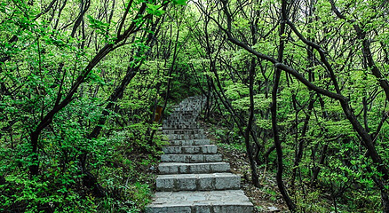 茱萸峰-玄帝宫第 12 张图片