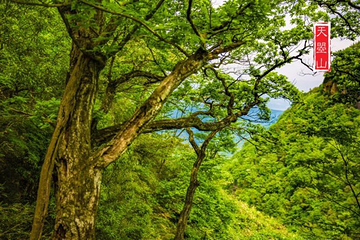 广元天曌山旅游风景区第 2 张图片