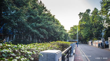 新河浦路第 1 张图片