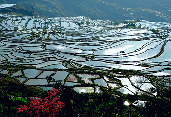 撒玛坝万亩梯田景区第 3 张图片