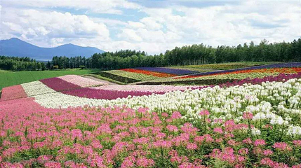 重庆市忠县天子山景区第 1 张图片