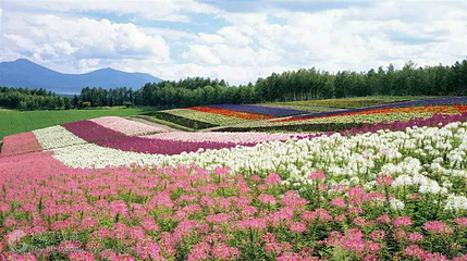 重庆市忠县天子山景区第 2 张图片