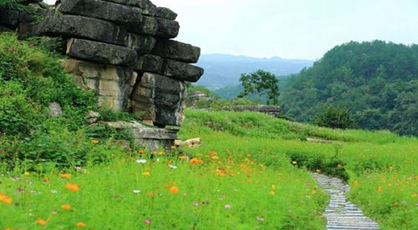 花千谷爱情石林景区