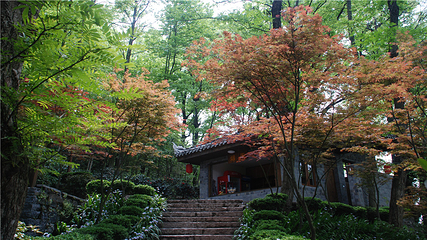 南华山神凤文化景区第 13 张图片