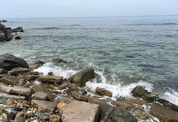 西岛第 266 张图片