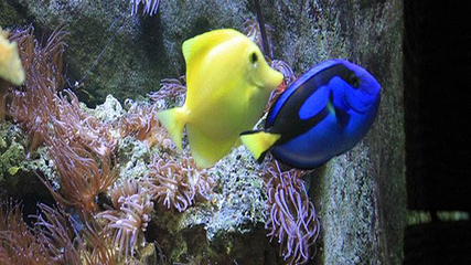 海上世界第 19 张图片