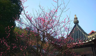 梅岭太阳谷第 27 张图片