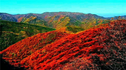 朝那湫景区第 6 张图片