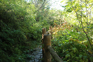 百里山水画廊—滴水壶第 10 张图片
