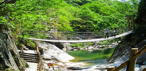 湖北大别山主峰景区第 10 张图片