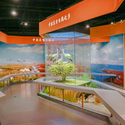 黄河三角洲鸟类博物馆