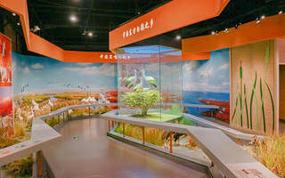 黄河三角洲鸟类博物馆