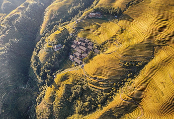 龙脊梯田风景名胜区-金坑梯田第 26 张图片