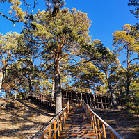 海拉尔国家森林公园