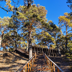 海拉尔国家森林公园