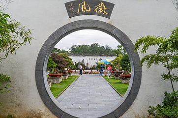 鲍家花园第 8 张图片