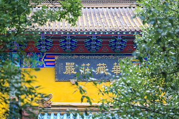 杭州东方文化园第 15 张图片