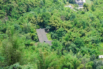 沐川竹海旅游景区第 17 张图片