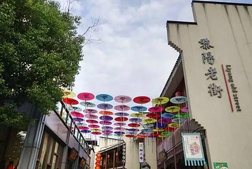 黎阳in巷第 74 张图片
