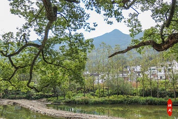 虹关村第 15 张图片