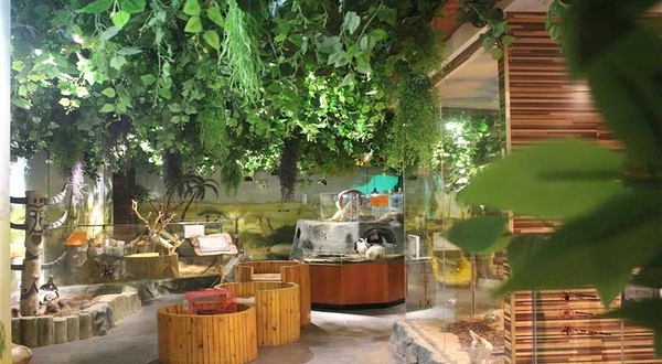 FUTURE ZOO未来动物城