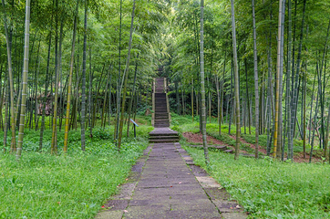 仙华山景区第 14 张图片