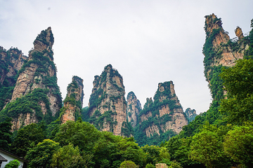 天子山风景区第 24 张图片