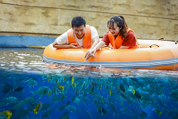 三亚亚特兰蒂斯失落的空间水族馆第 48 张图片