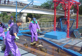 千岁水族馆第 9 张图片