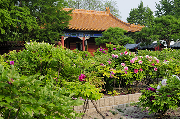 景山公园第 25 张图片