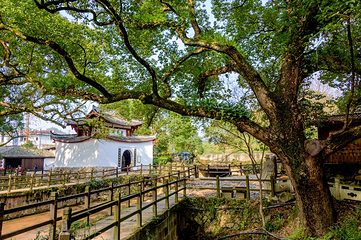 古堰画乡旅游度假区第 6 张图片