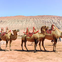 吐鲁番火焰山大景区