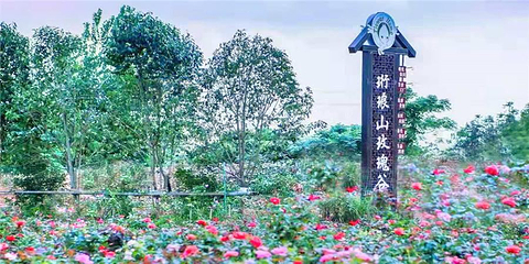 珩琅山玫瑰谷第 1 张图片
