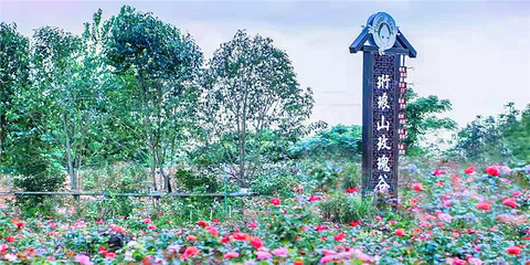 珩琅山玫瑰谷第 7 张图片
