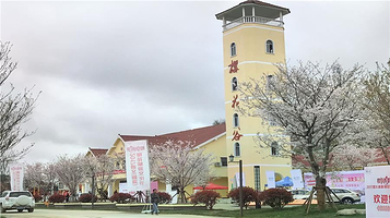 遵义新蒲樱花谷