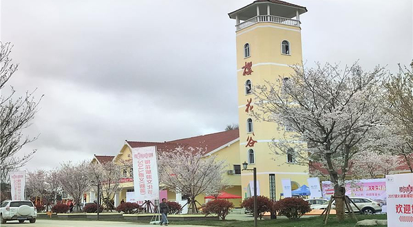 遵义新蒲樱花谷