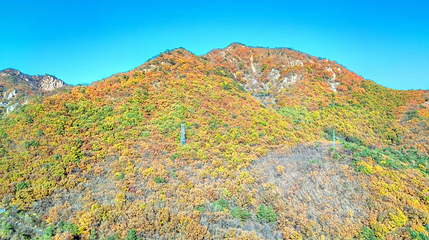 步云山第 1 张图片