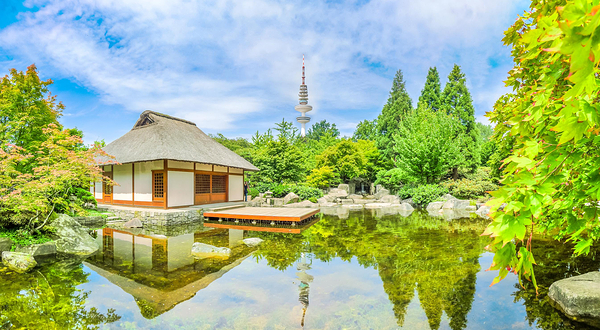 植物与花卉公园