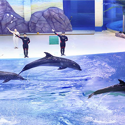 寿光极地海洋世界