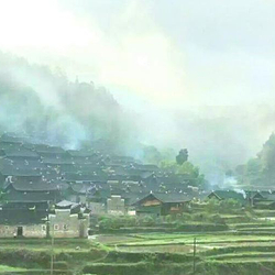 五保田村