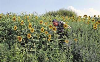 诸暨市青瓦农场