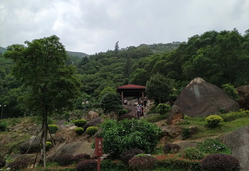 九龙山景区第 9 张图片