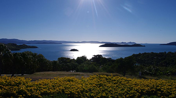 汉密尔顿岛免费巴士