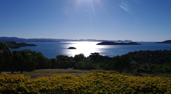 汉密尔顿岛免费巴士