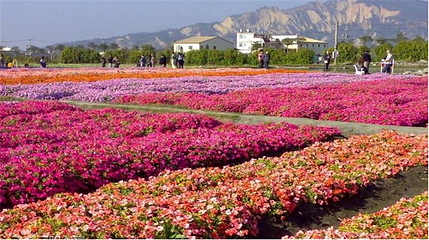 香盟花千谷第 1 张图片