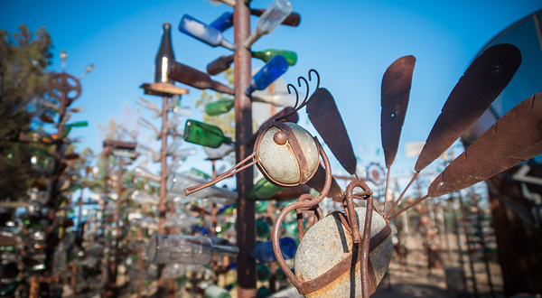 Elmer's Bottle Tree Ranch