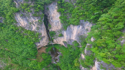 中亚楠木林风景区第 15 张图片